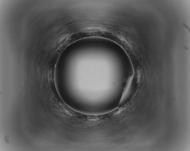 X0000096400965200801311347