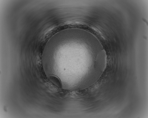 X0000096400966200801311347