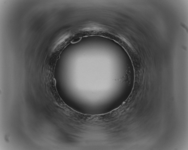 X0000096400967200801311347