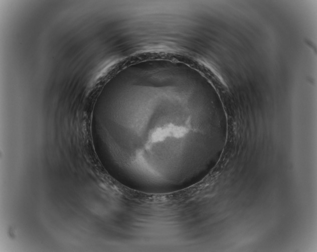 X0000096400968200801311347