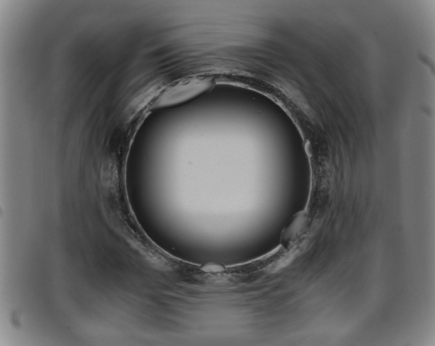 X0000096400969200801311347