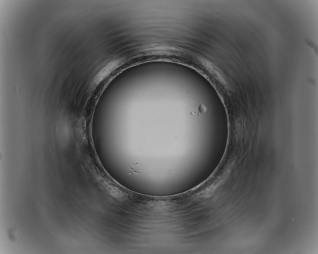 X0000096400970200801311347