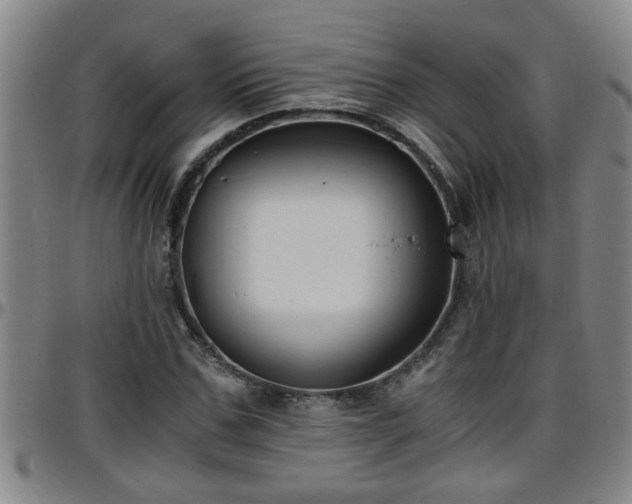 X0000096400971200801311347