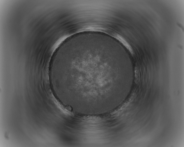 X0000096400972200801311347