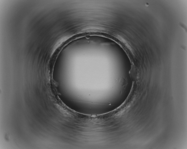 X0000096400973200801311347