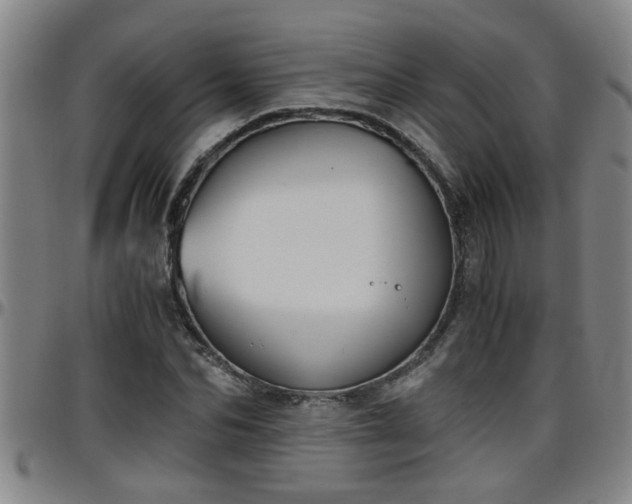 X0000096400974200801311347