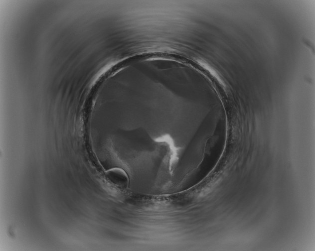 X0000096400975200801311347