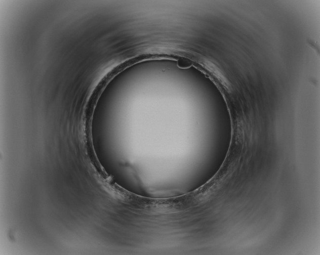 X0000096400976200801311347