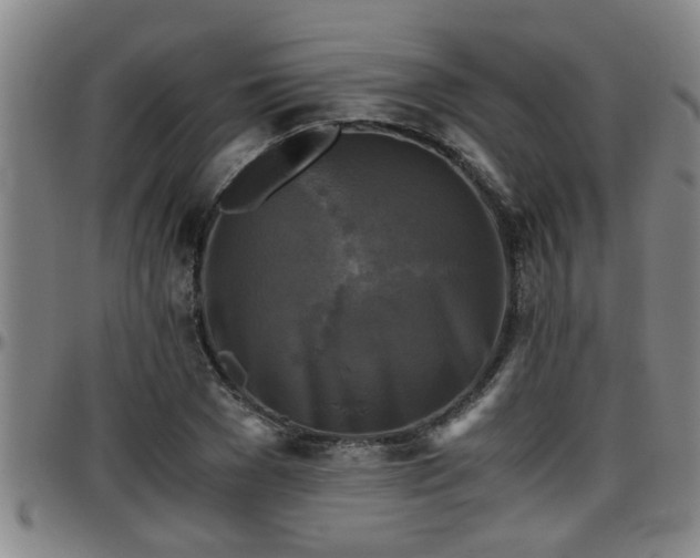 X0000096400977200801311347