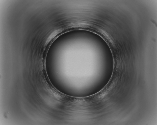 X0000096400978200801311347