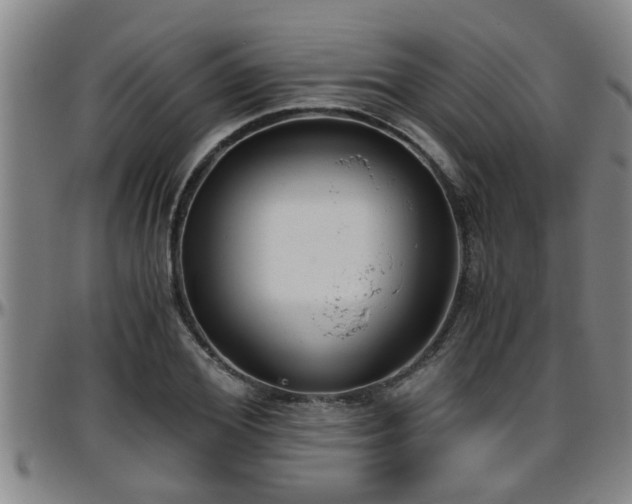 X0000096400980200801311347