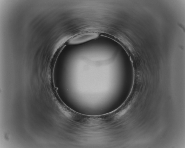 X0000096400981200801311347