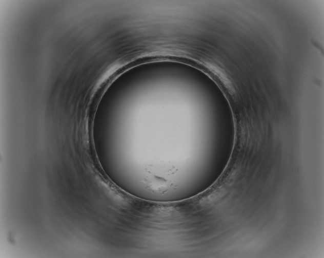 X0000096400982200801311347