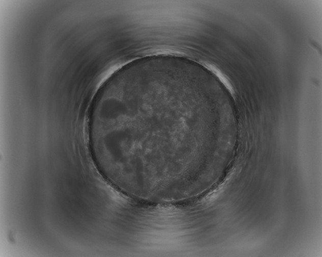 X0000096400983200801311347