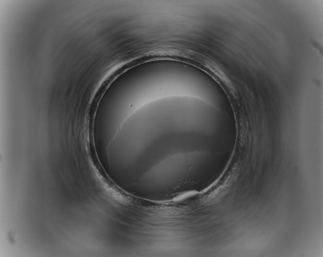 X0000096400984200801311347