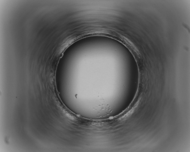 X0000096400985200801311347