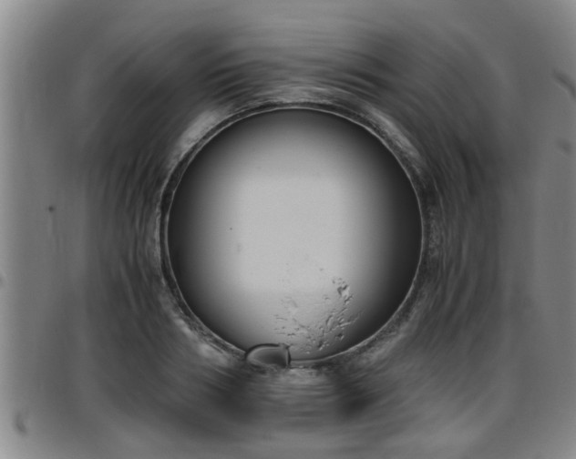 X0000096400986200801311347