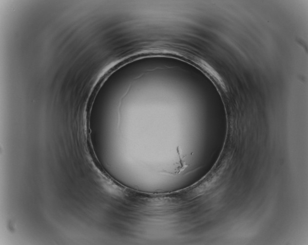 X0000096400988200801311347