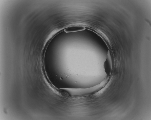 X0000096400989200801311347