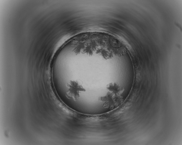 X0000096400990200801311347