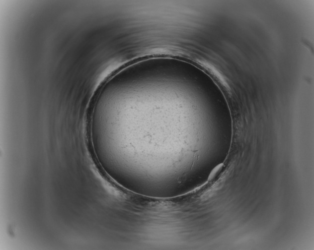 X0000096400991200801311347