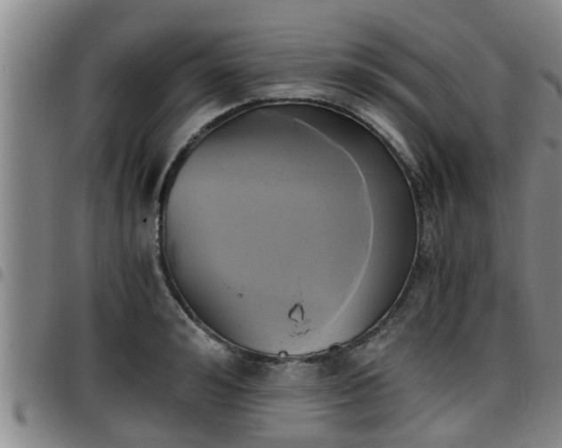 X0000096400992200801311347