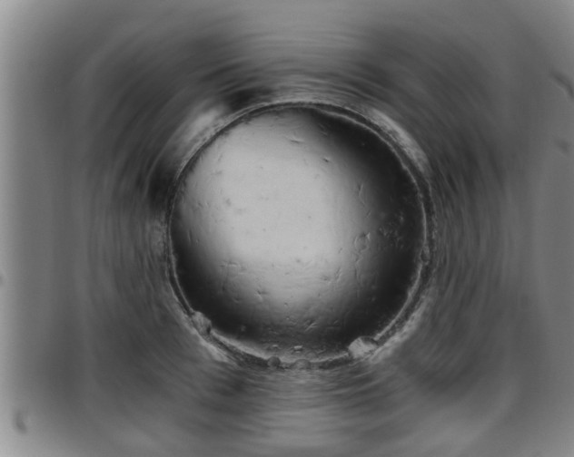 X0000096400993200801311347