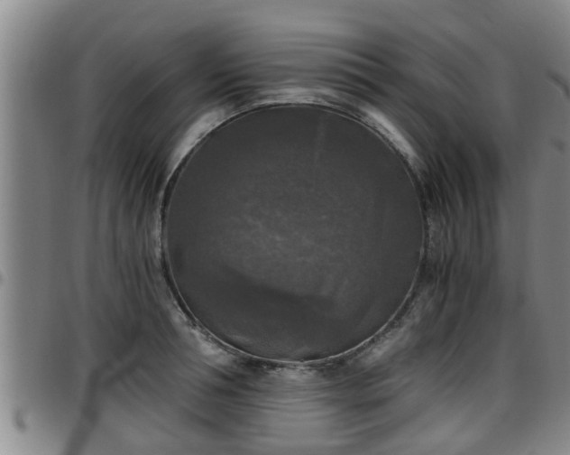 X0000096400994200801311347