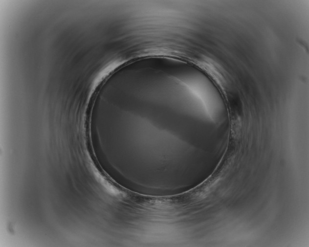 X0000096400995200801311347