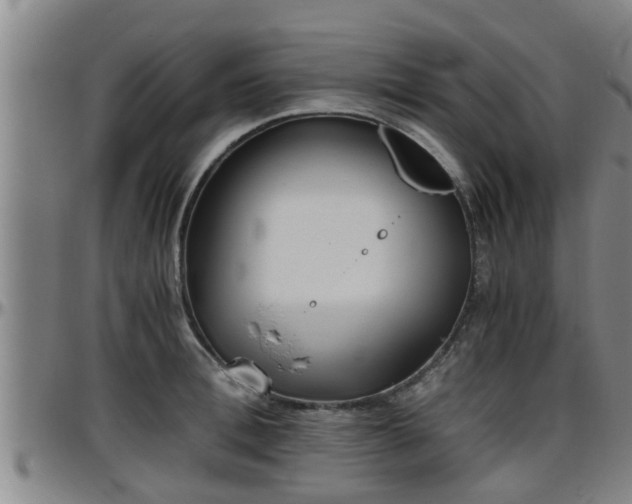 X0000096400996200801311347