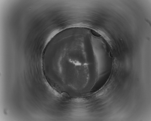 X0000096400998200801311346