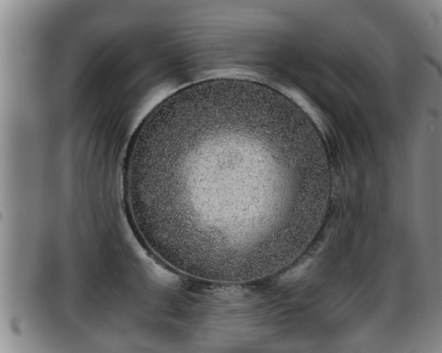 X0000096400999200801311346