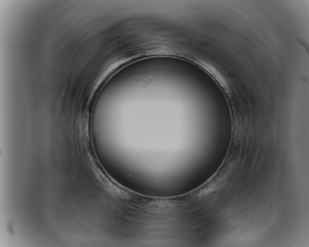 X0000096401000200801311346