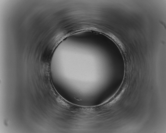 X0000096401001200801311346