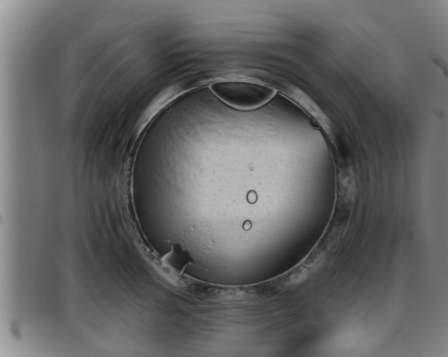 X0000096401002200801311346