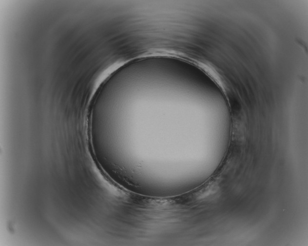 X0000096401003200801311346