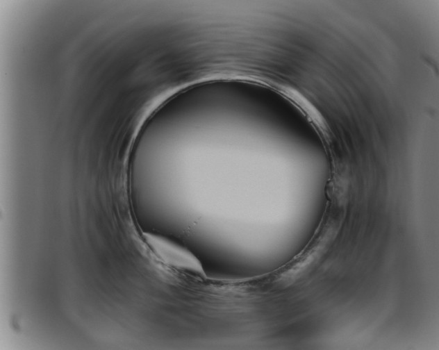 X0000096401004200801311346