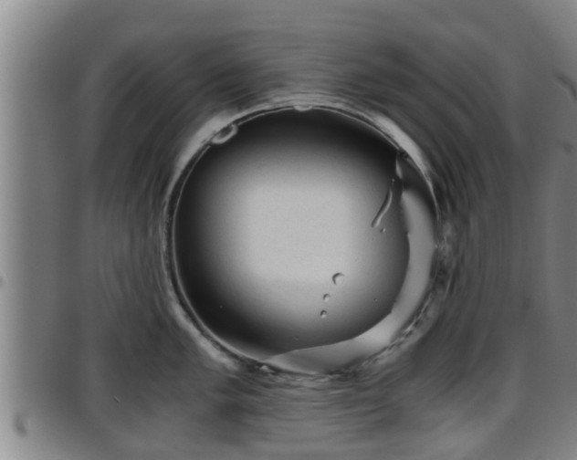 X0000096401005200801311346