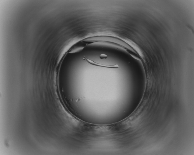 X0000096401006200801311346