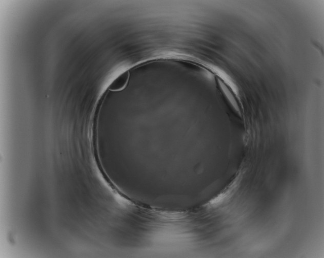 X0000096401007200801311346