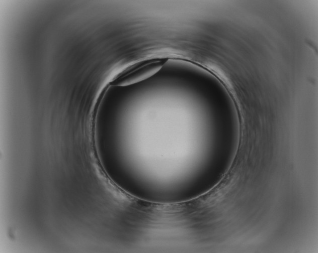 X0000096401008200801311346