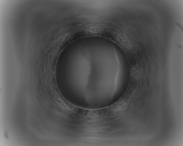 X0000096401009200801311346