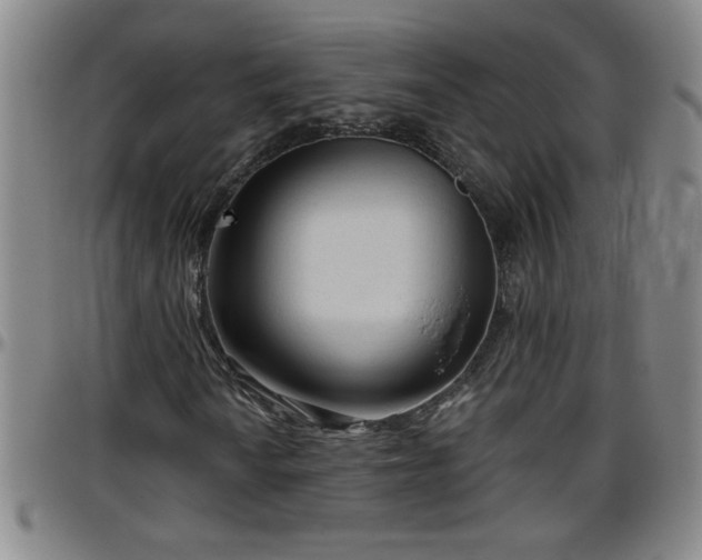 X0000096401010200801311346