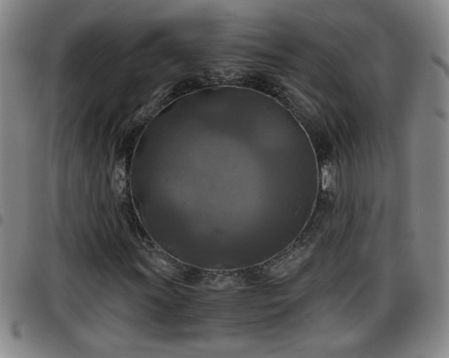 X0000096401011200801311346