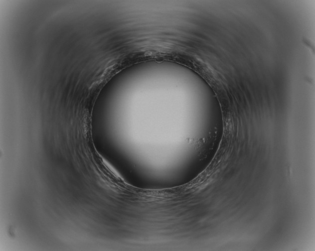 X0000096401012200801311346