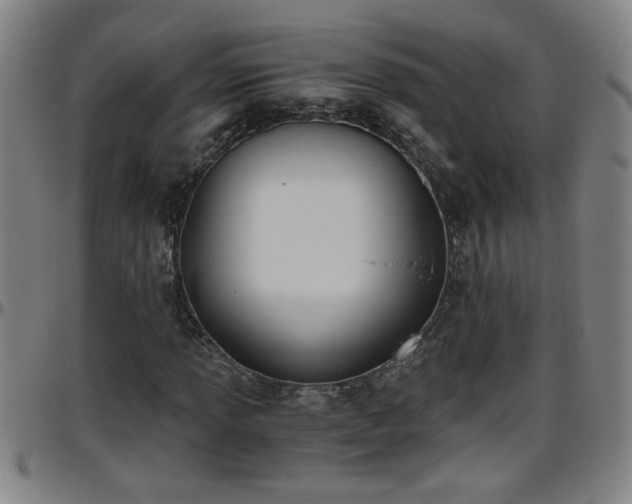 X0000096401013200801311346