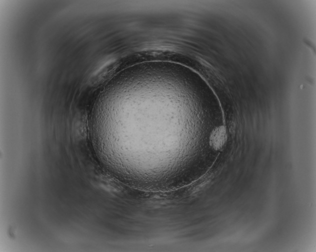 X0000096401014200801311346