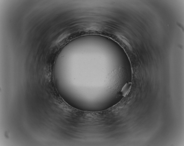 X0000096401015200801311346