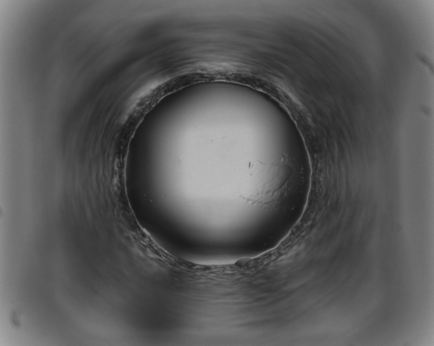 X0000096401016200801311346