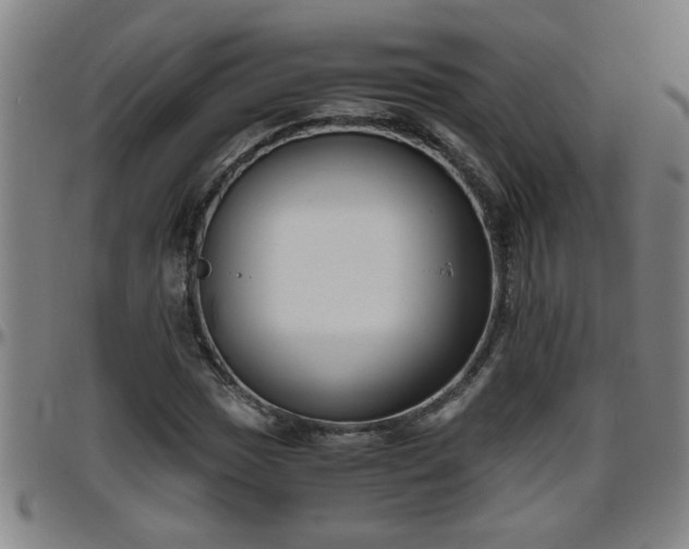 X0000096401017200801311346